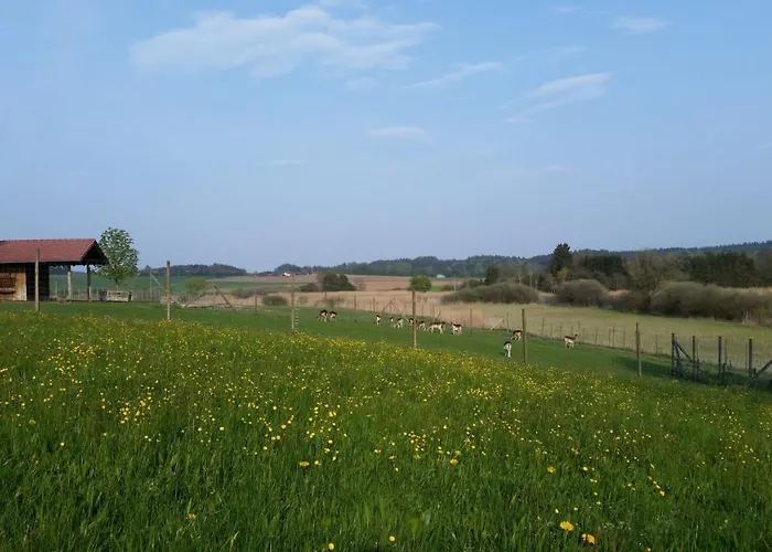 Karlshof *